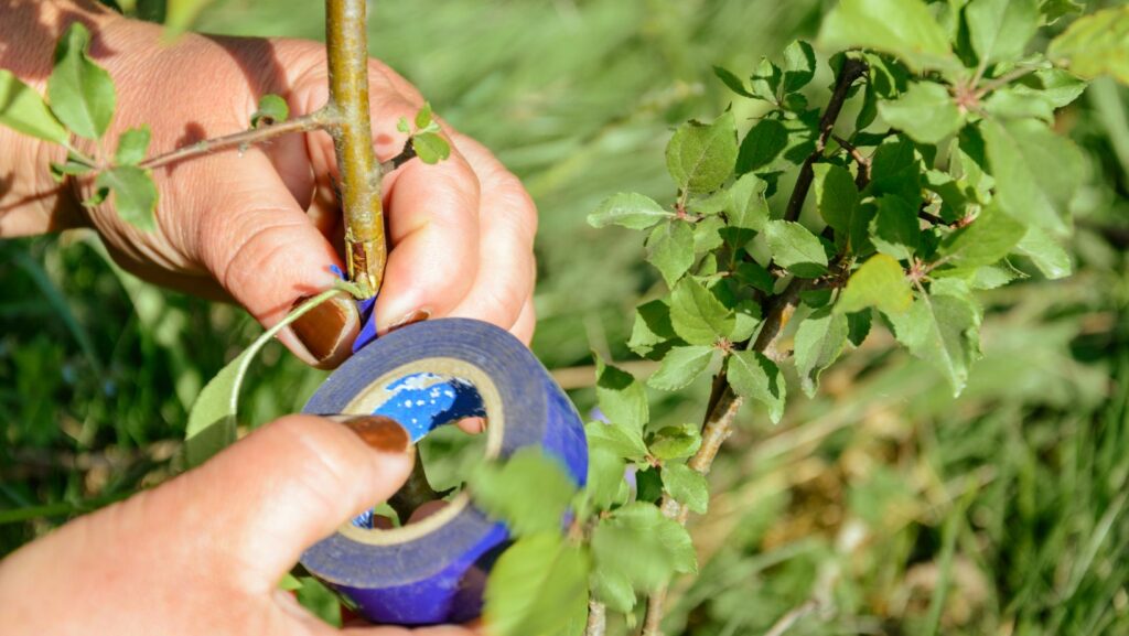 Green Gardening Tape